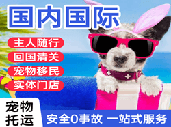 赛乌素航空空运国际宠物托运 【国